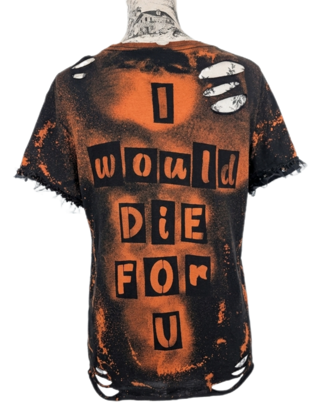 Pr💜nce I would Die for you reworked tee- womens L